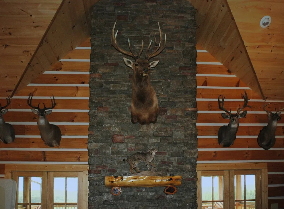 Hunting Cabin by Noble Architects, LLC - Photo 4