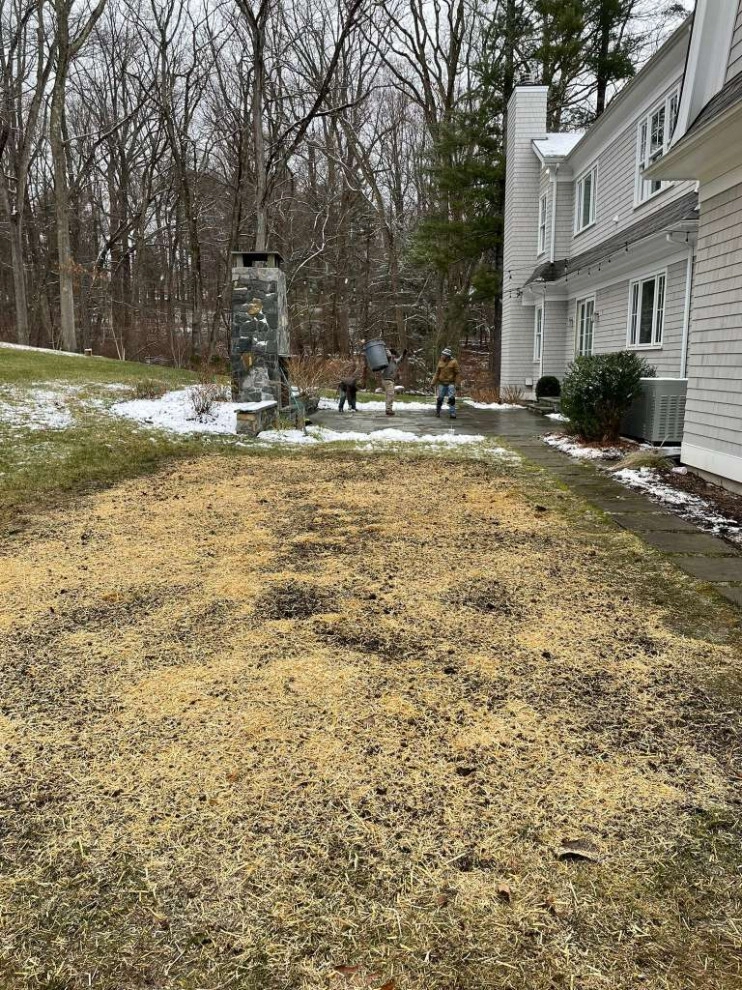 Ramirez Landscaping & Renovations INC3 by Ramirez Landscaping & Renovation INC - Photo 64