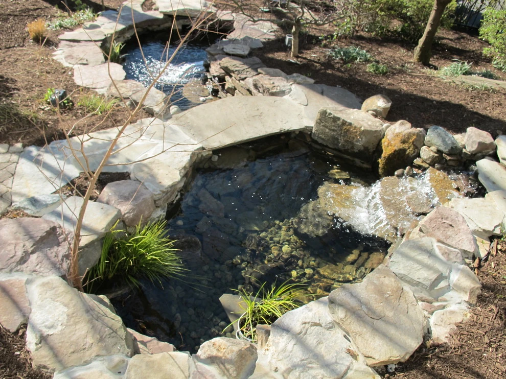 Downtown Annapolis Pond by Honeysuckle Nursery & Design - Photo 4