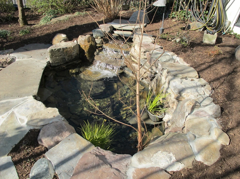 Downtown Annapolis Pond by Honeysuckle Nursery & Design - Photo 7