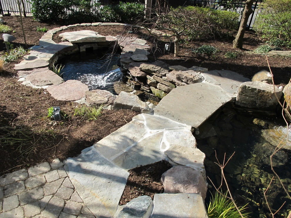 Downtown Annapolis Pond by Honeysuckle Nursery & Design - Photo 2