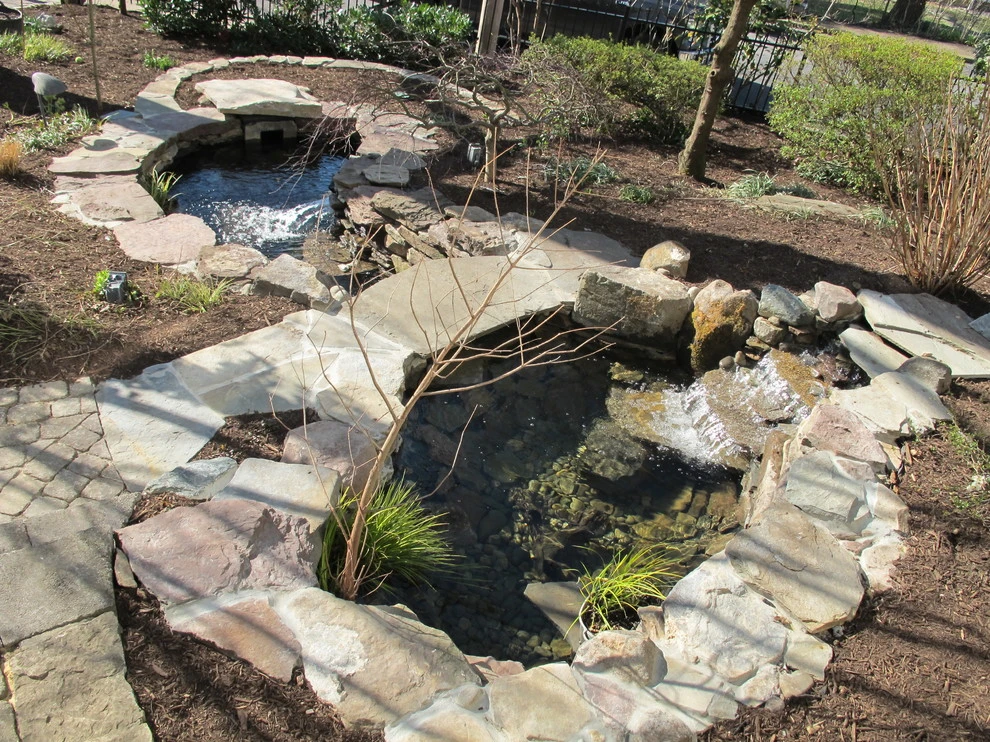 Downtown Annapolis Pond by Honeysuckle Nursery & Design - Photo 5