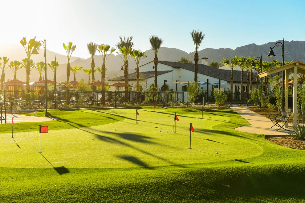 Artificial Turf by Teserra Outdoors - Photo 12