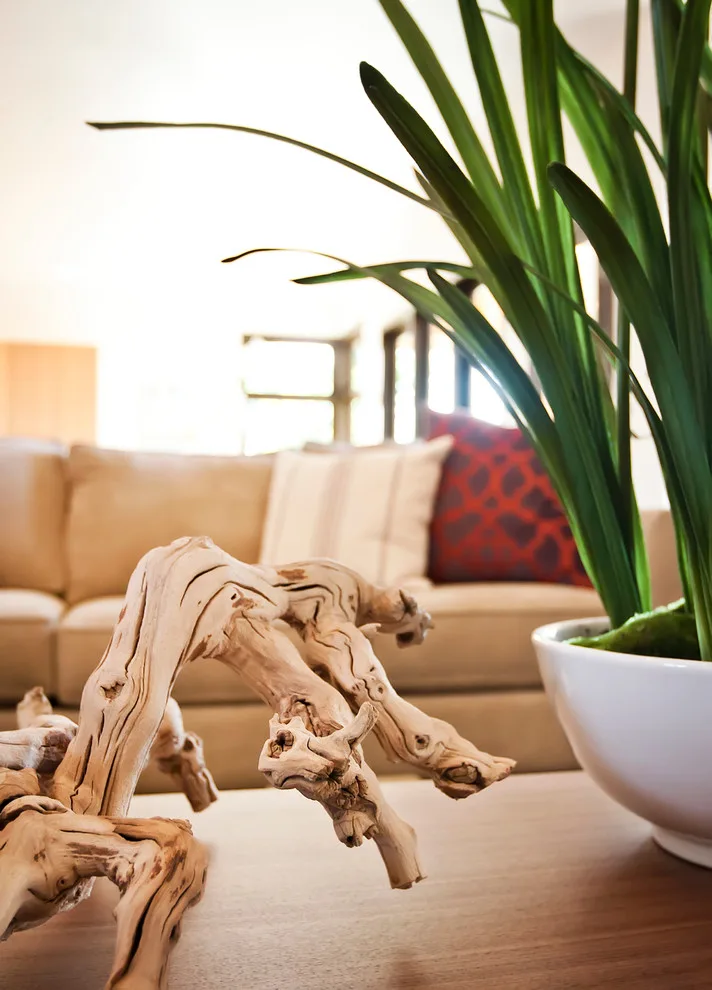 Odyssey - Home Showcase 2012 by Blondino Design, Inc. - Photo 2