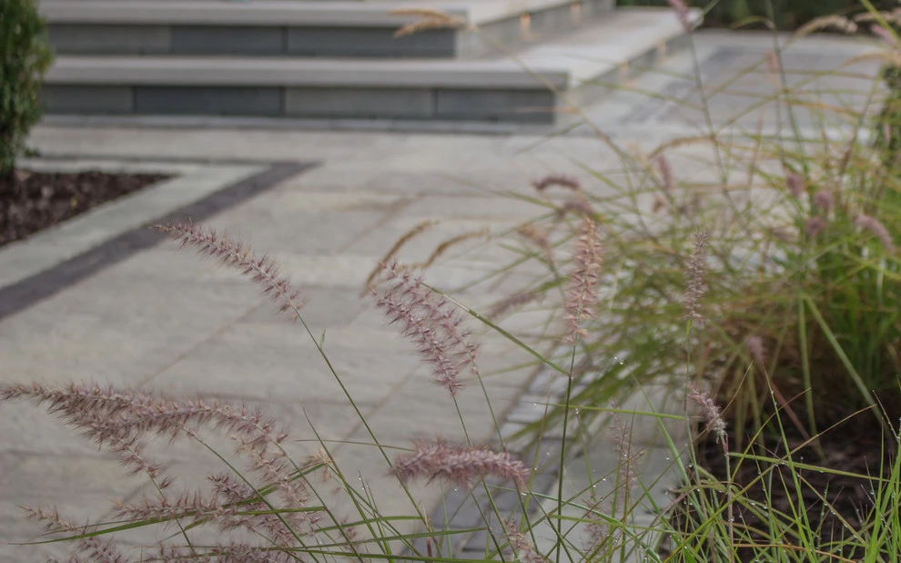 Crooked Tree by Ventures Design - Photo 10