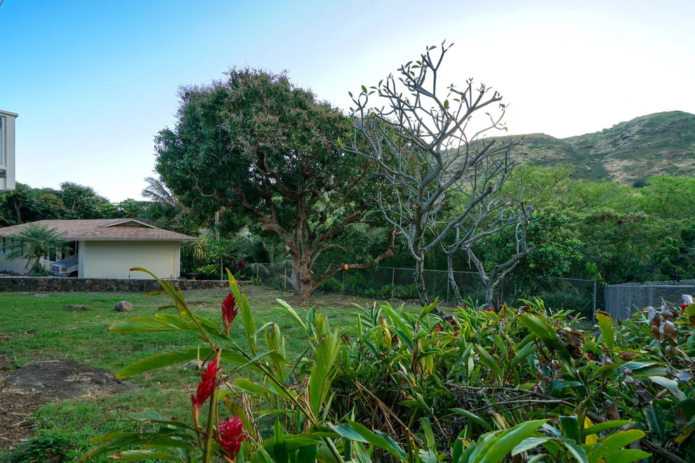 Ailuna Renovation by Prowork Pacific Inc. - Photo 23