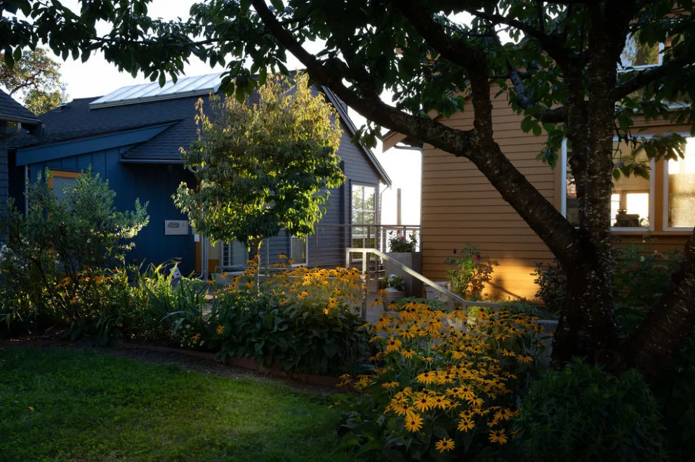 Anderson Gardens: Two Decades On by Rhodes Architecture + Light - Photo 8