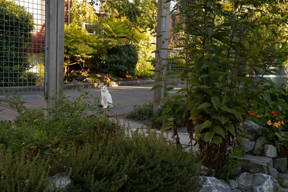 Anderson Gardens: Two Decades On by Rhodes Architecture + Light - Photo 21