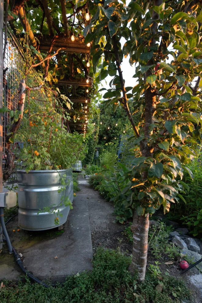 Anderson Gardens: Two Decades On by Rhodes Architecture + Light - Photo 6
