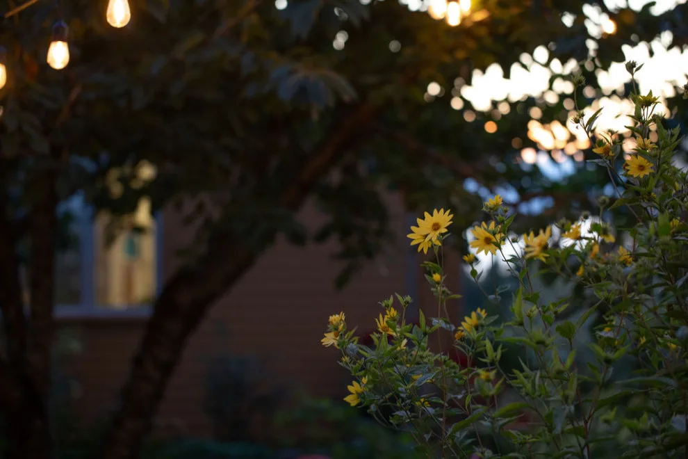 Anderson Gardens: Two Decades On by Rhodes Architecture + Light - Photo 4