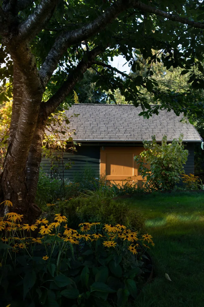 Anderson Gardens: Two Decades On by Rhodes Architecture + Light - Photo 11