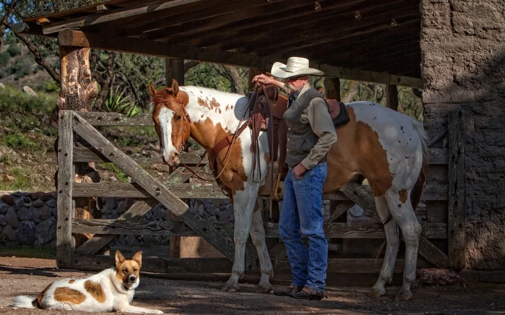 Sonoita Springs Ranch, Apache, Arizona by Stellar Gray Fine Homes - Photo 21