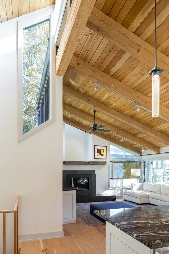 Aspen Ski Lodge by Willis Pember Architects - Photo 6