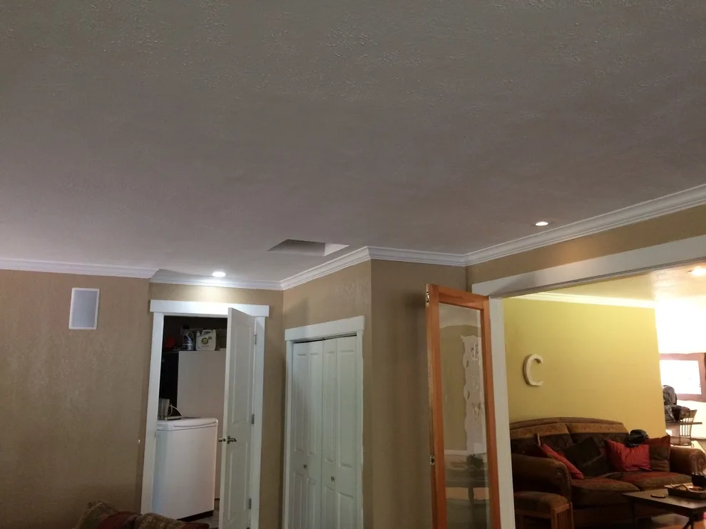 Jordon Carlson entertainment area, laundry space, kitchen, and separate garage project by Reddy Watt Electrical - Photo 7