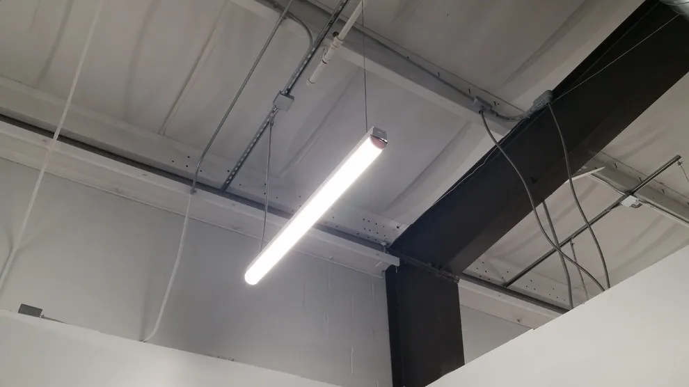 Rx Drugstore by Wired Electrical Services - Photo 13