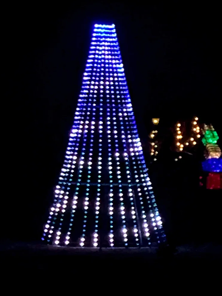 Festive and All-Year Lighting by RCE - Photo 3