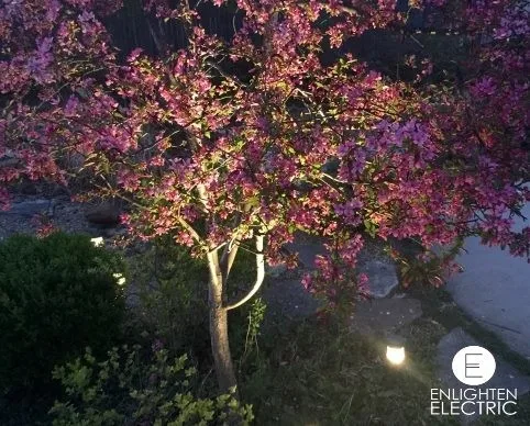 Outdoor Illumination by Enlighten Electric, LLC - Photo 4