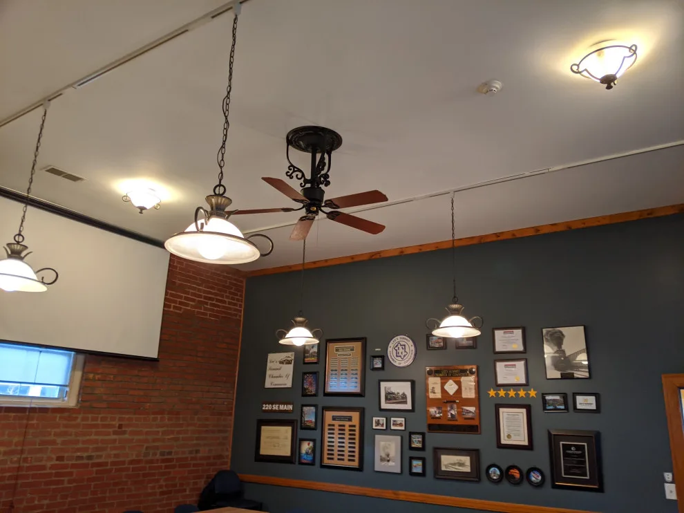 Distinctive Ceiling Fans by RCE - Photo 3