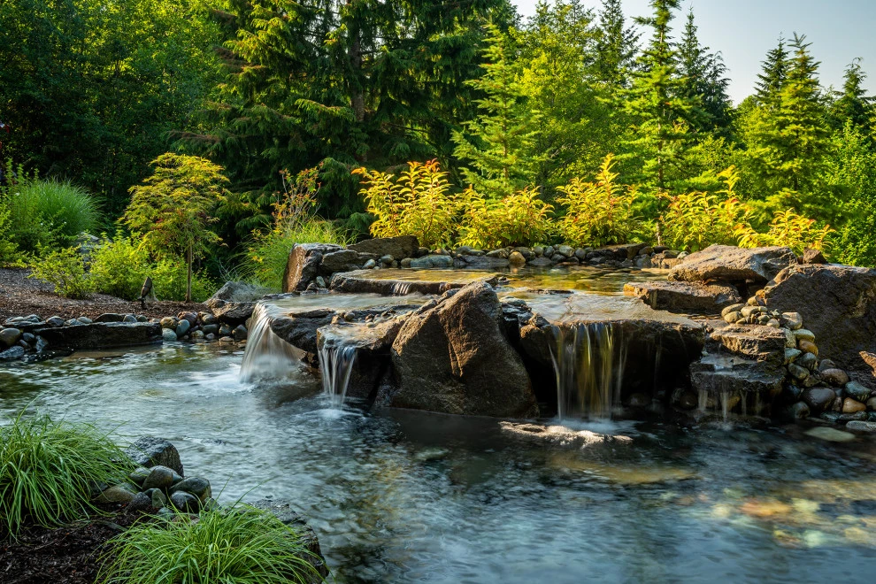 Alderwood Landscape Architecture And Construction - Photo 11