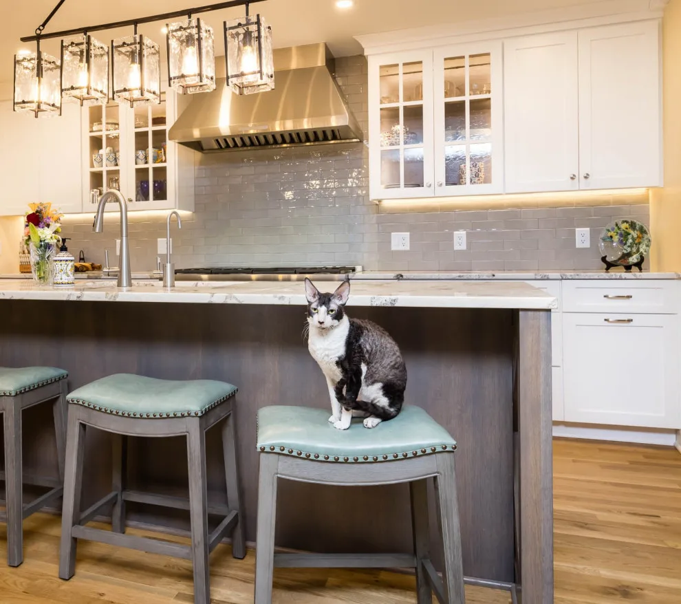 Olentangy Culinary Arts by Residence Design Build Remodel - Photo 4