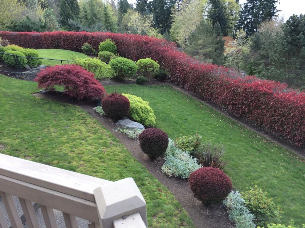 Hillside landscape and outdoor living by Alderwood Landscape Architecture And Construction - Photo 2
