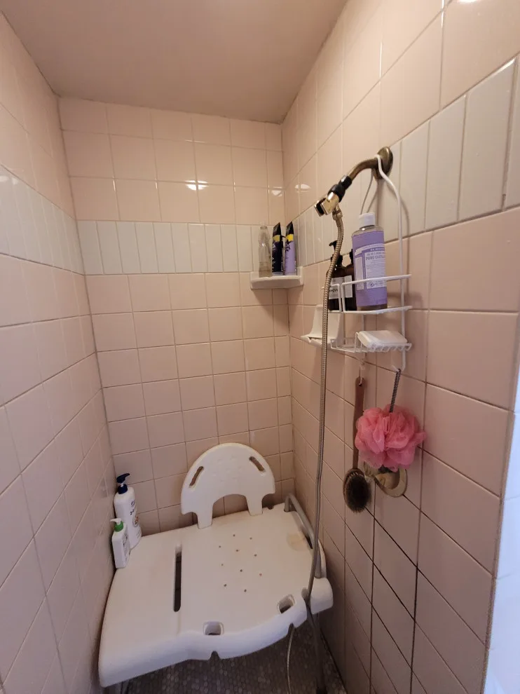Bathroom with Parisian Influence by Treefrog Design - Photo 3