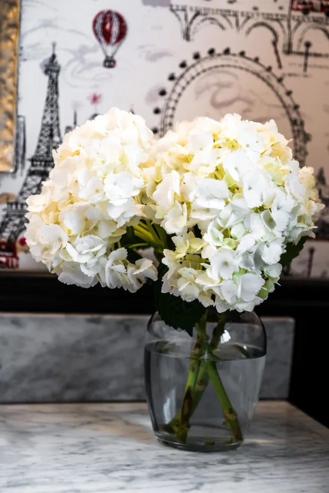 Parisian Beauty Space by Evalia Design, LLC. - Photo 6