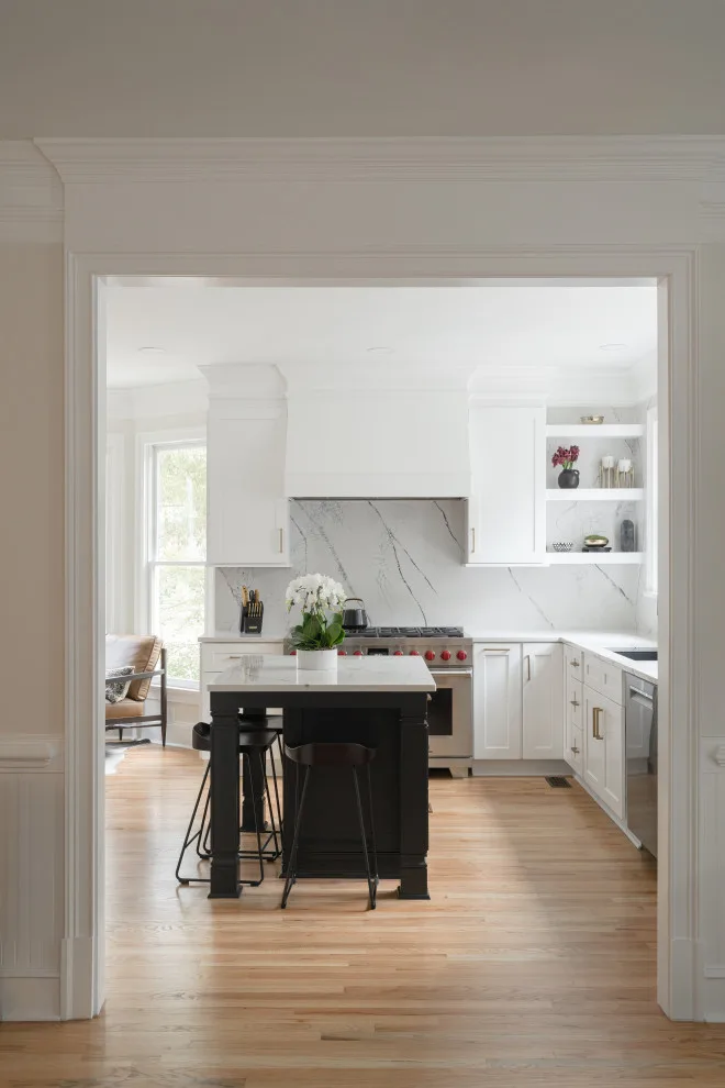 Peachtree City Contemporary and Sleek Kitchen by Rosa Moreno Kitchens - Photo 28