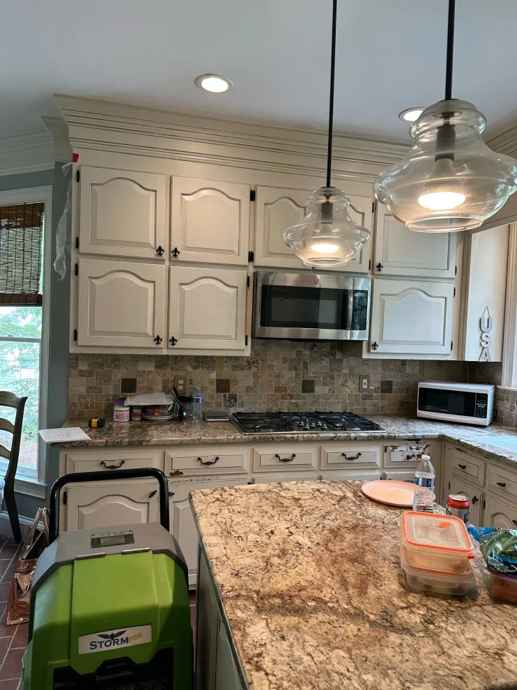 Peachtree City Contemporary and Sleek Kitchen by Rosa Moreno Kitchens - Photo 13
