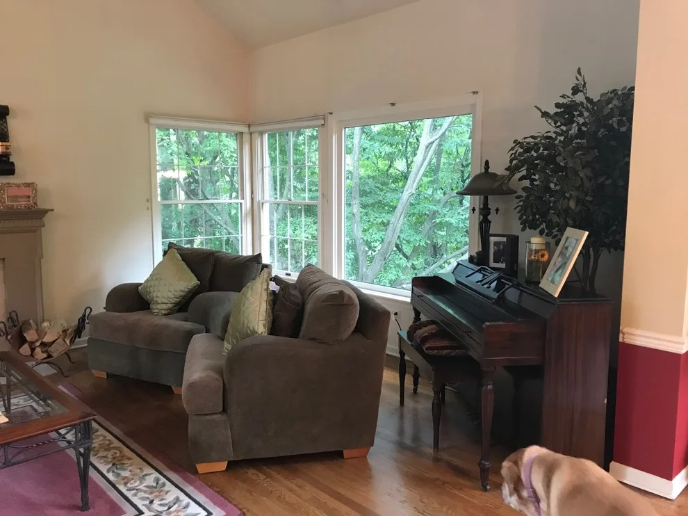 Color Burst Project by Ins & Outs Decorating, LLC - Photo 3