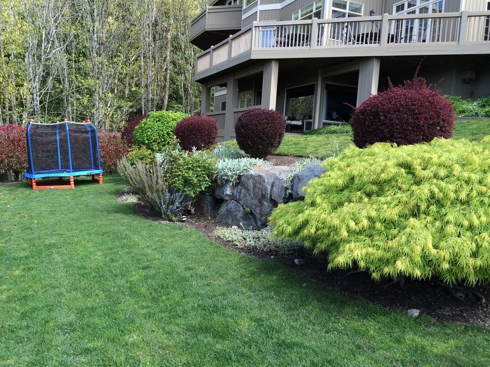 Hillside landscape and outdoor living by Alderwood Landscape Architecture And Construction - Photo 6