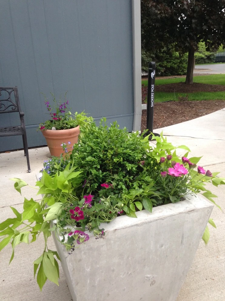 Perinton by Aureli Landscaping & Custom Stone Work - Photo 2