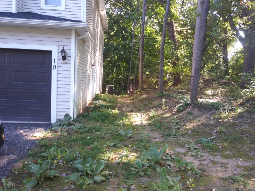 Dell rd by Aureli Landscaping & Custom Stone Work - Photo 2