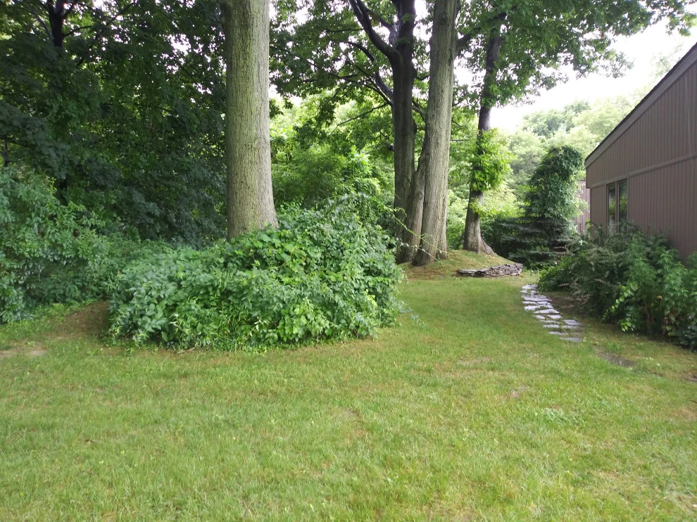 Marco ln by Aureli Landscaping & Custom Stone Work - Photo 12