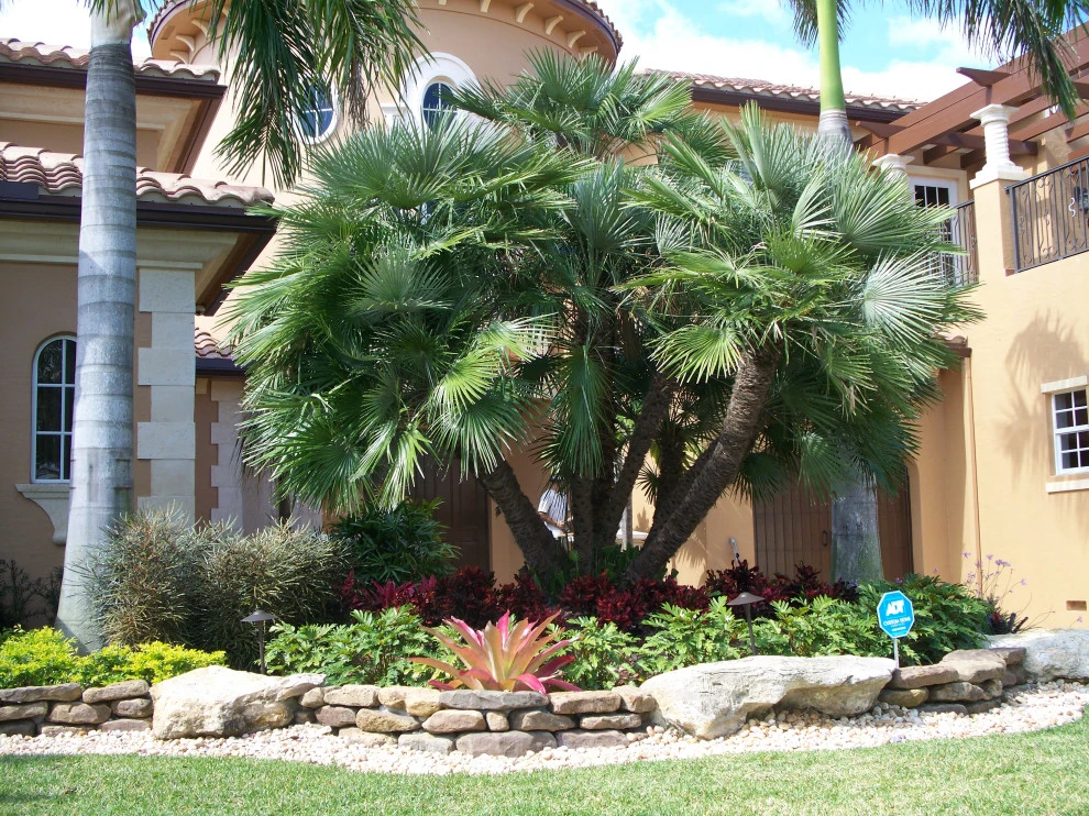 Stone Landscape Rock Border Walls by Broward Landscape, Inc. - Photo 14