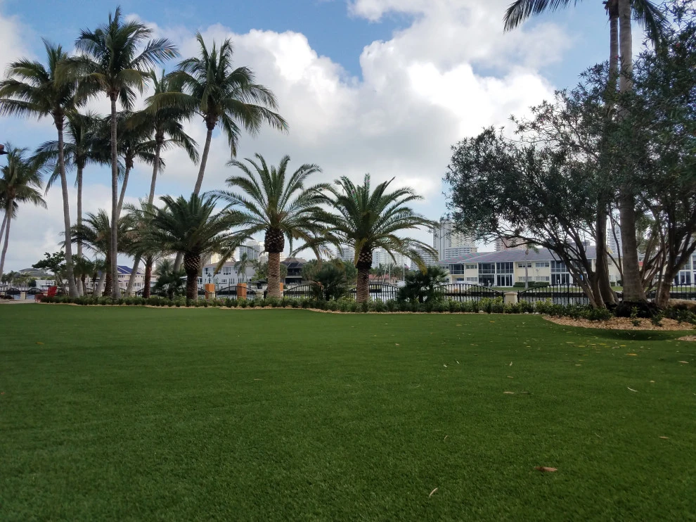Ft Lauderdale Complete Outdoor Restoration: by Broward Landscape, Inc. - Photo 10