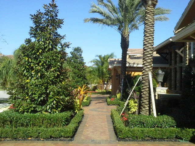 Modern Landscape by Broward Landscape, Inc. - Photo 7