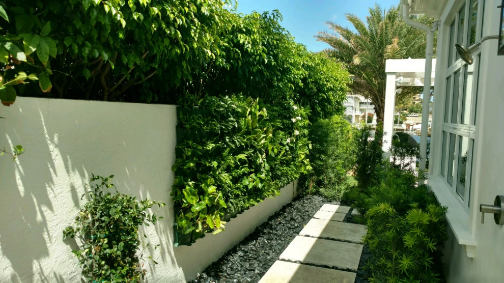 Living Walls by Broward Landscape, Inc. - Photo 5