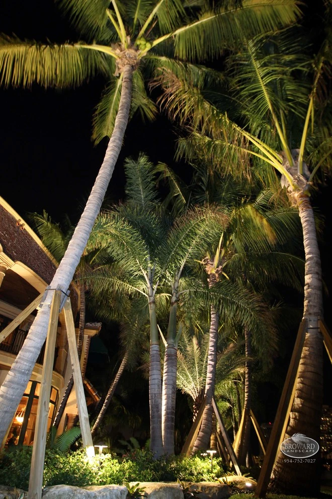 Outdoor Lighting by Broward Landscape, Inc. - Photo 14