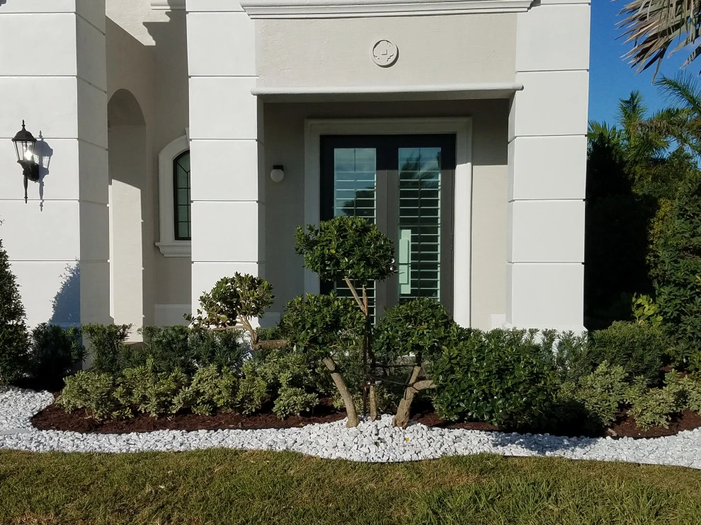 Modern Landscape Design by Broward Landscape, Inc. - Photo 2