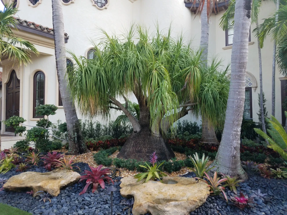Ft Lauderdale Complete Outdoor Restoration: by Broward Landscape, Inc. - Photo 18