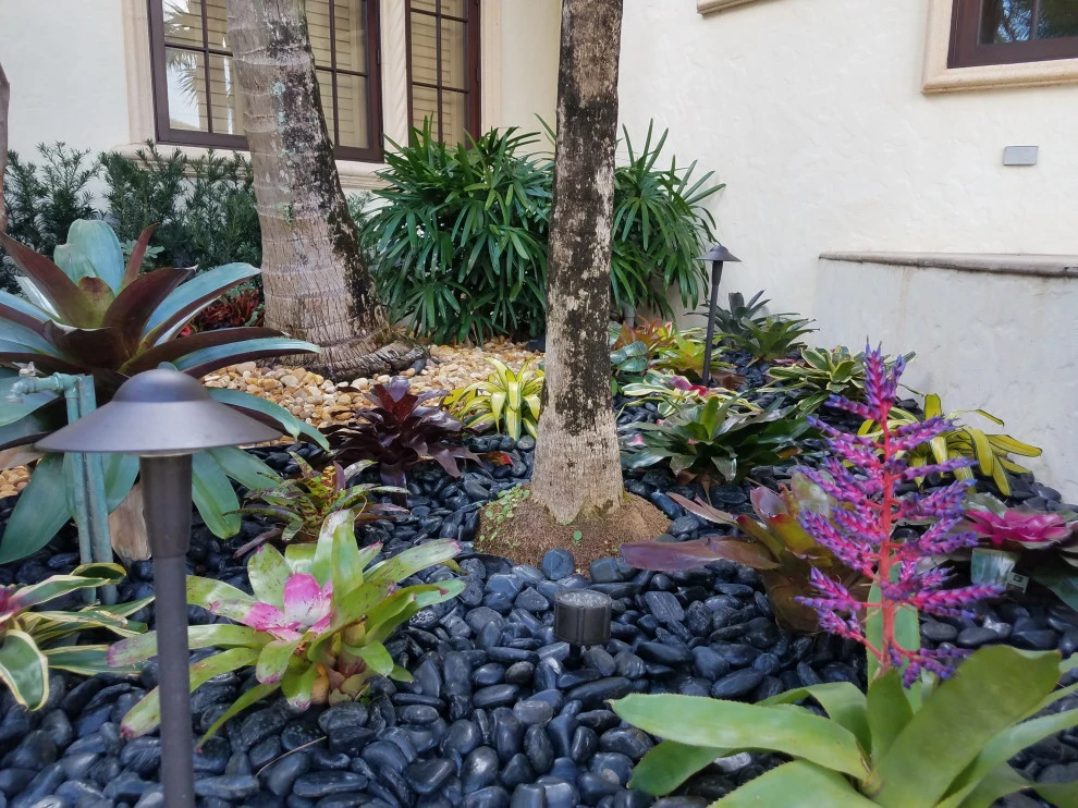 Broward Landscape, Inc. - Photo 6