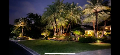 Outdoor Lighting by Broward Landscape, Inc. - Photo 8