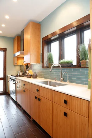 Modern Bamboo Kitchen in River Forest by Denise Hauser Design Co. - Photo 2