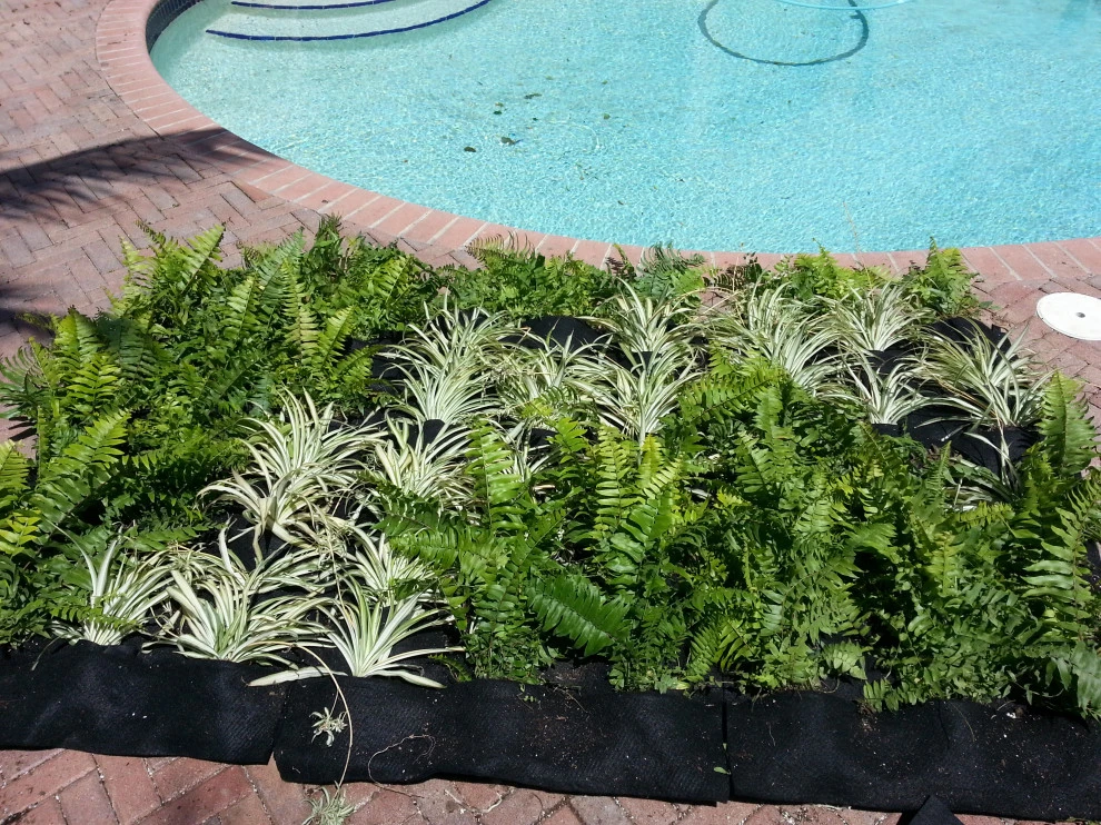 Living Walls by Broward Landscape, Inc. - Photo 4