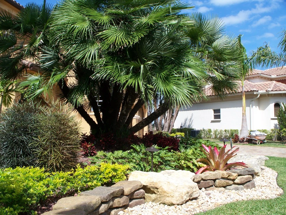 Stone Landscape Rock Border Walls by Broward Landscape, Inc. - Photo 8