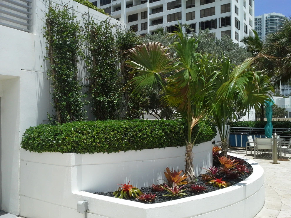 Living Walls by Broward Landscape, Inc. - Photo 3