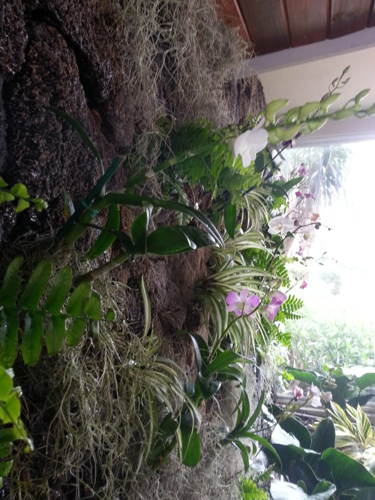 Living Walls by Broward Landscape, Inc. - Photo 2