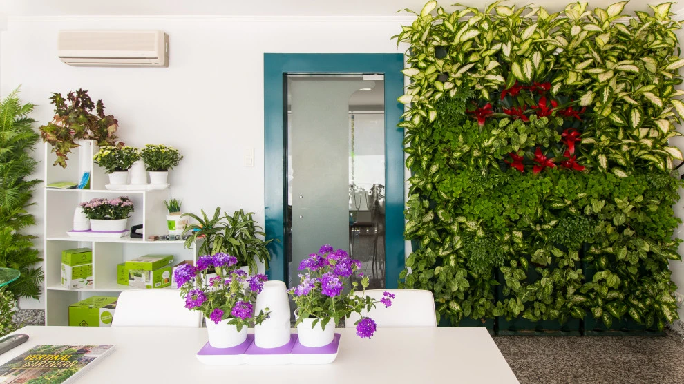 Living Walls by Broward Landscape, Inc. - Photo 10