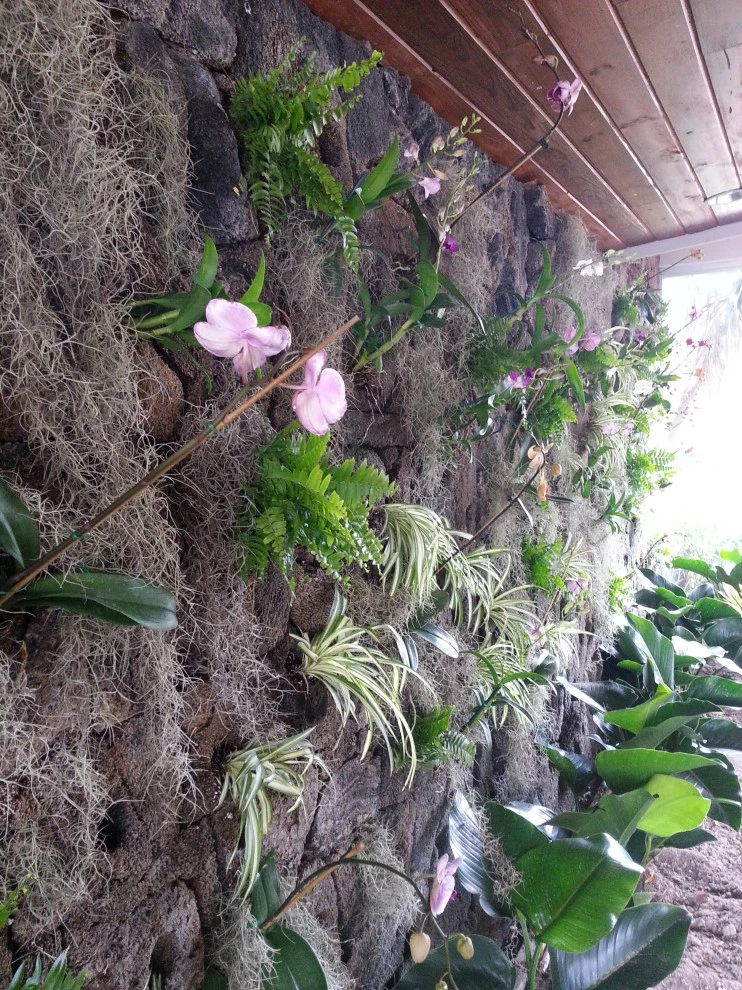 Living Walls by Broward Landscape, Inc. - Photo 9